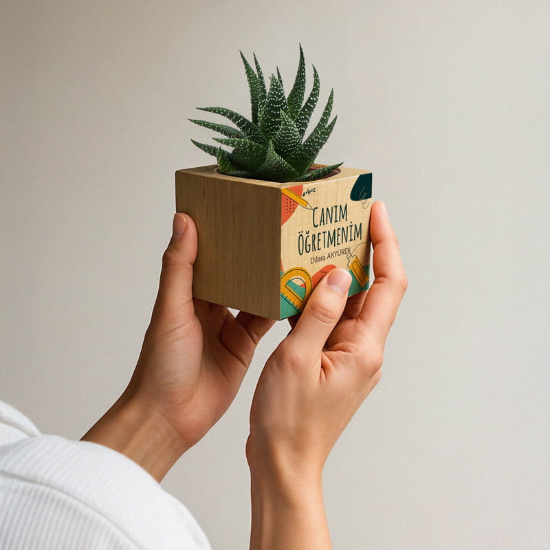 Canım Öğretmenim Hediye Kişiye Özel Saksılı Sukulent Naturacube