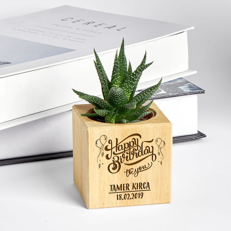 Doğum Günü Hediyesi Sukulent Naturacube