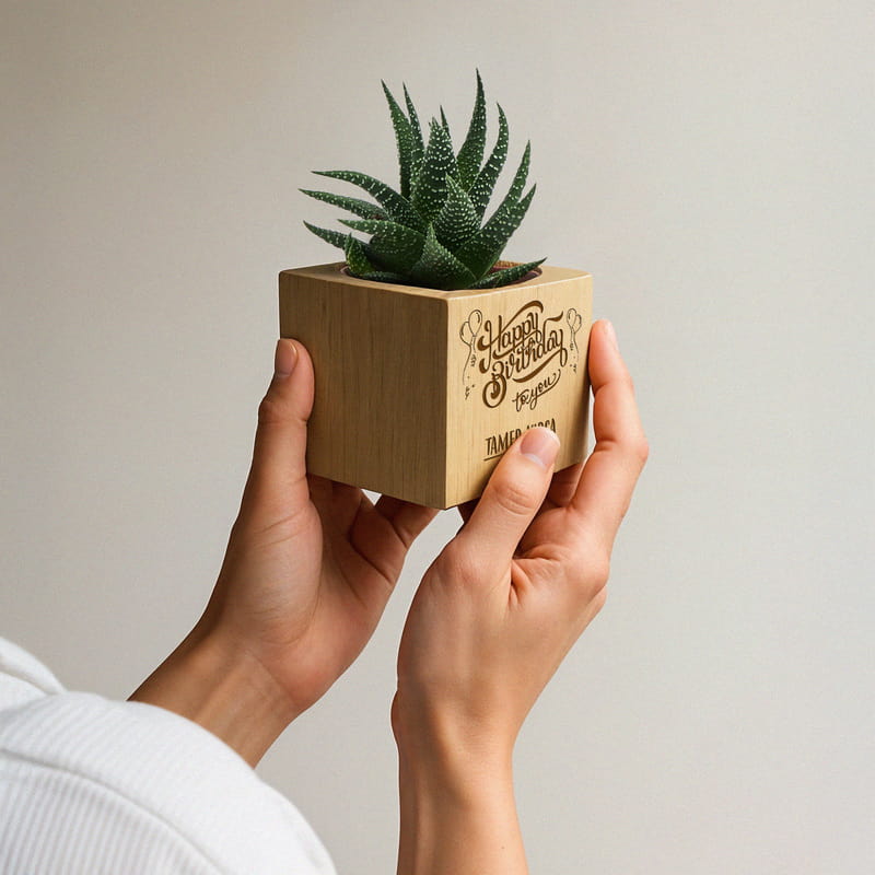 Doğum Günü Hediyesi Sukulent Naturacube
