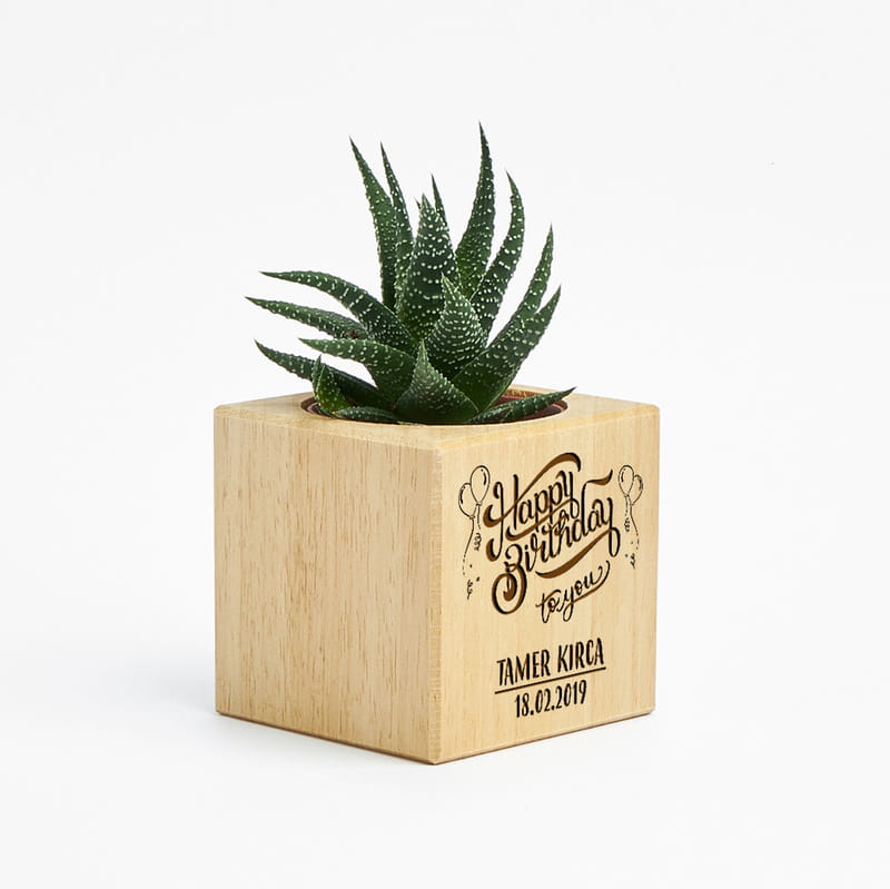 Doğum Günü Hediyesi Sukulent Naturacube