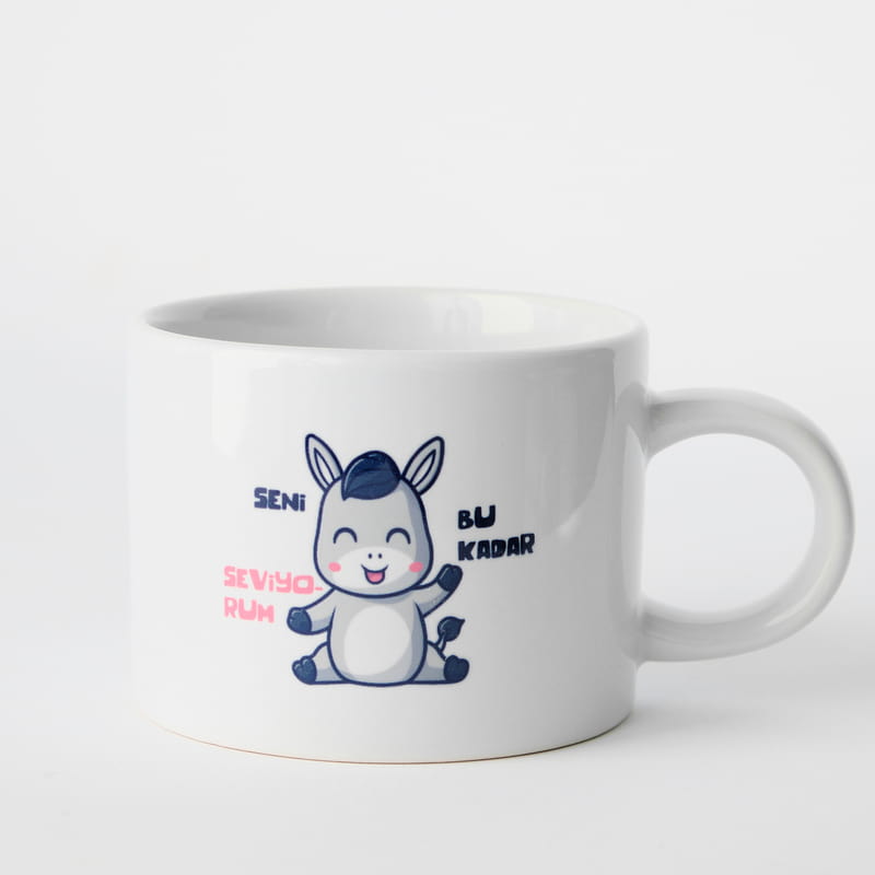 Eşeklik Ettim Özür Dilerim Konseptli Hediye Kutusu