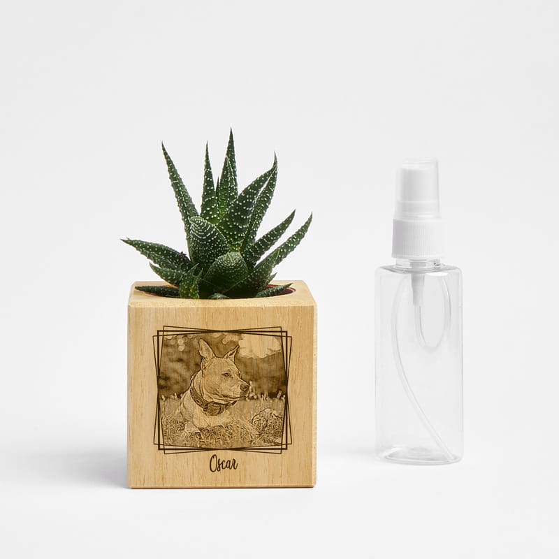 Evcil Hayvan Hediyesi Fotoğraf Özelleştirmeli Ahşap Naturacube