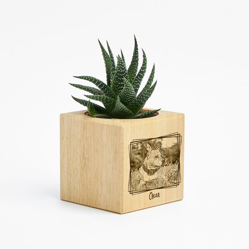 Evcil Hayvan Hediyesi Fotoğraf Özelleştirmeli Ahşap Naturacube