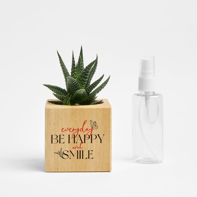 Everyday Be Happy And Smile Tasarımlı Ahşap Saksılı Sukulent