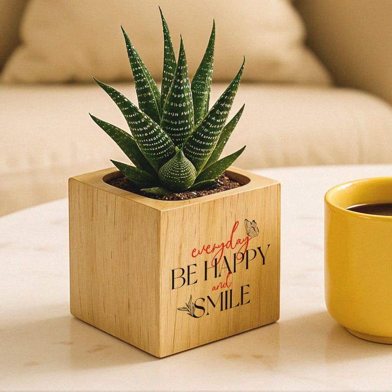 Everyday Be Happy And Smile Tasarımlı Ahşap Saksılı Sukulent