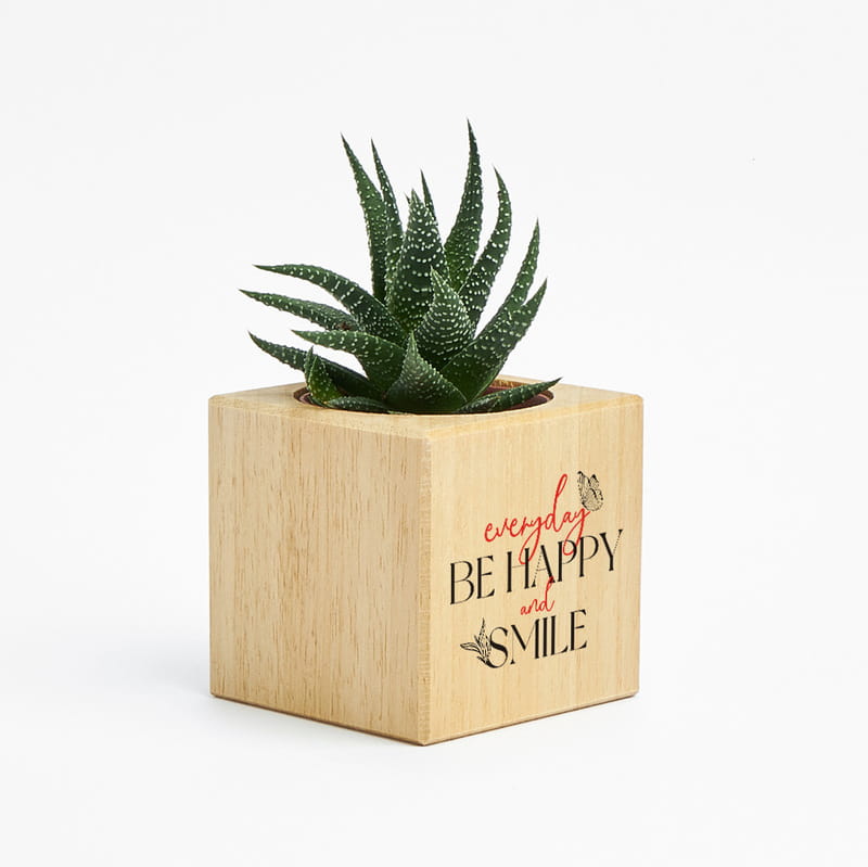 Everyday Be Happy And Smile Tasarımlı Ahşap Saksılı Sukulent