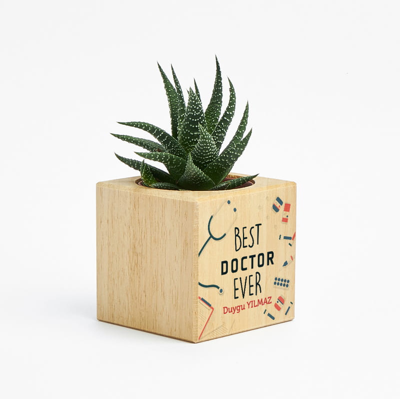 Gelmiş Geçmiş En İyi Doktor Mesajlı İsme Özel Sukulent Naturacube