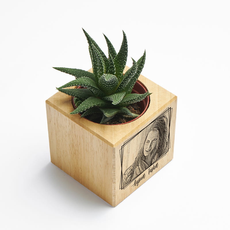 İsme Özel Fotoğraf Baskılı Hediye Sukulent Naturacube