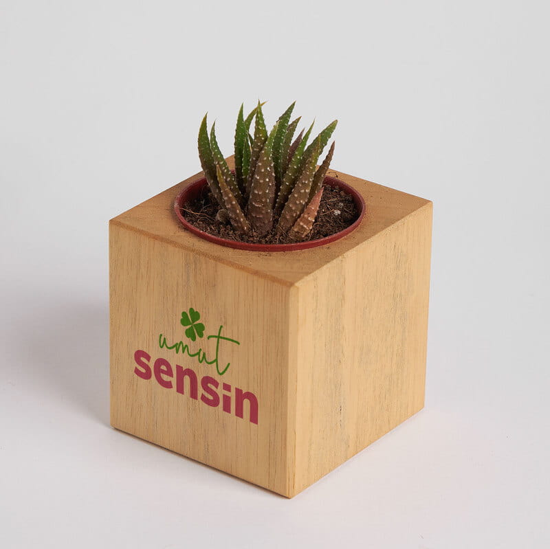 Kadınlara Özel Umut Sensin Hediye Kutusu