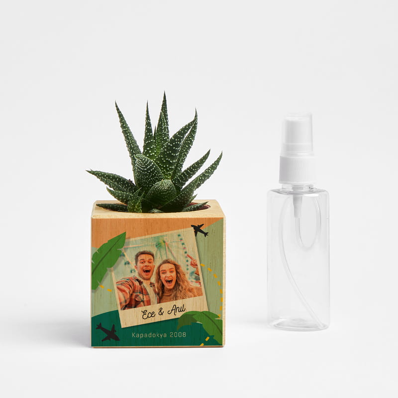 Tatil Hatırası Fotoğraf Baskılı Kişiye Özel Sukulent Naturacube