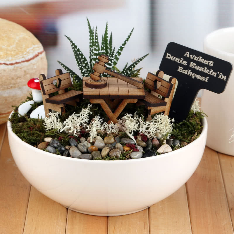 Avukata Hediye Canlı Minyatür Bahçe