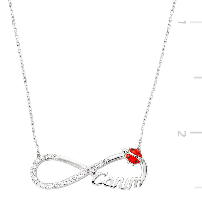 Uğur Böcekli Sonsuzluk Canım Kolye Hediye Sepeti