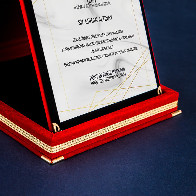 Kurumsal Hediyelik Yarışma Başarısı Ödül Plaketi