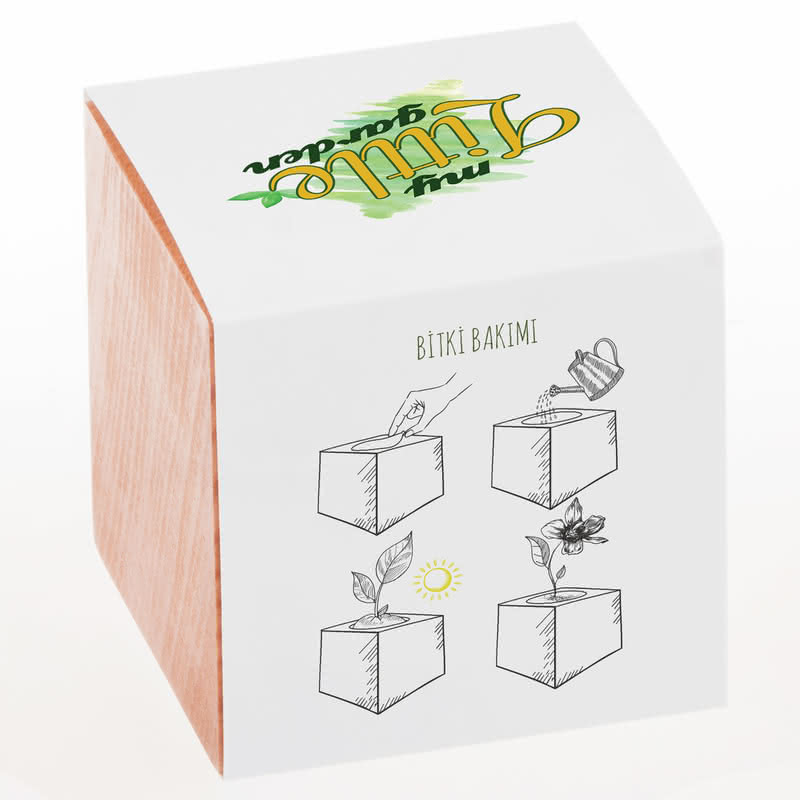 Matematik Öğretmenlerine Hediye Tohumlu Naturacube
