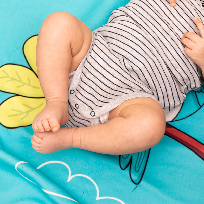 Aylık Bebek Konsepti Bebek Battaniyesi Seti