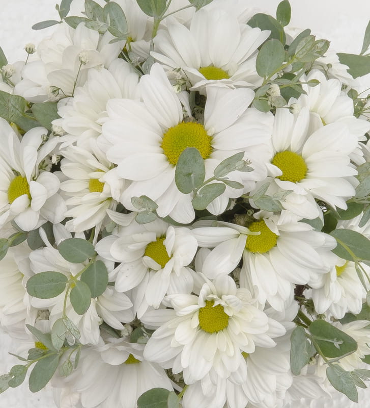 Doğal Kütükte Papatya Aranjman Hediye Sepeti