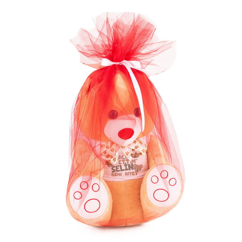 Sevgiliden Özür Dileme Hediyesi 55 cm Sevimli Ayıcık