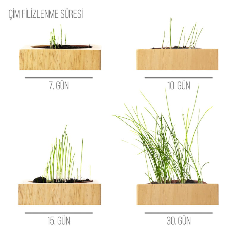 Doğum Günü Hediyesi Doğal Tohumlu Naturacube