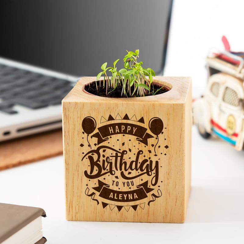 Doğum Günü Hediyesi Doğal Tohumlu Naturacube