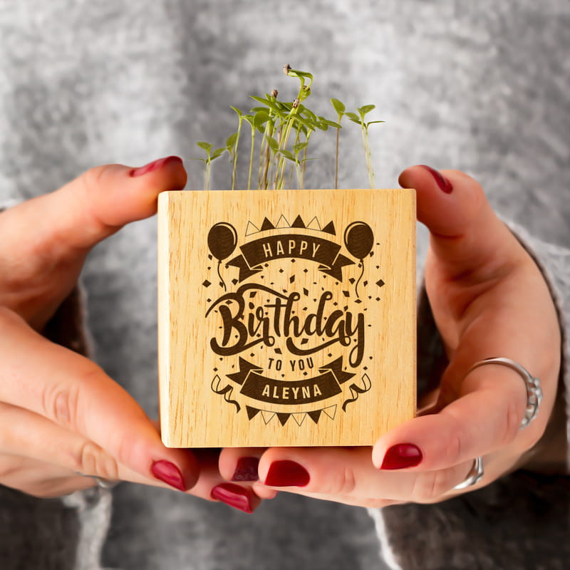 Doğum Günü Hediyesi Doğal Tohumlu Naturacube