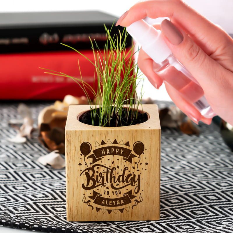 Doğum Günü Hediyesi Doğal Tohumlu Naturacube