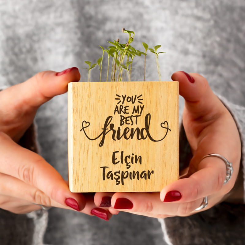 En İyi Arkadaşa Hediye Doğal Tohumlu Naturacube