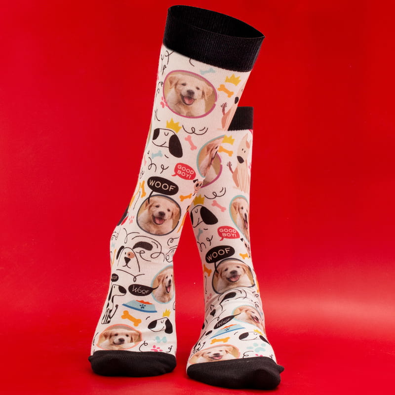 Hayvan Severlere Hediye Fotoğraf Baskılı Esprili Çorap