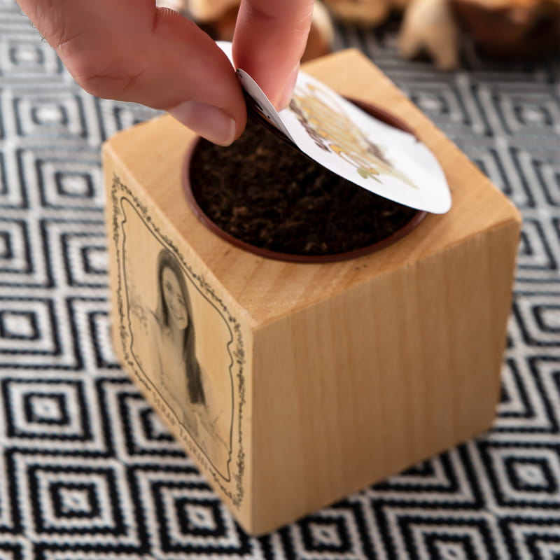 Kişiye Özel Fotoğraflı Bitki Tohumlu Naturacube