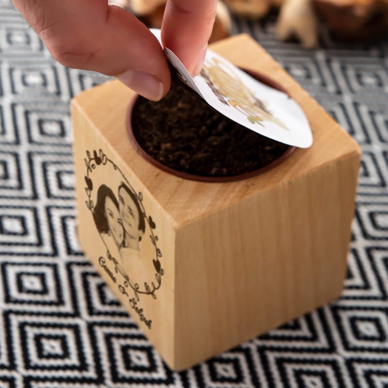 Kız Arkadaşa Hediye Doğal Tohumlu Naturacube