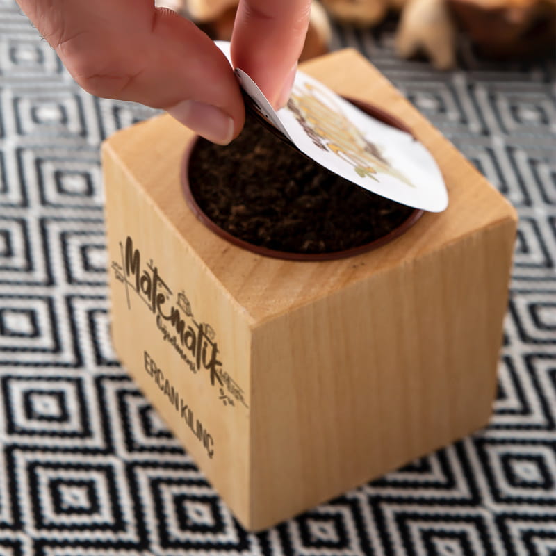 Matematik Öğretmenlerine Hediye Tohumlu Naturacube