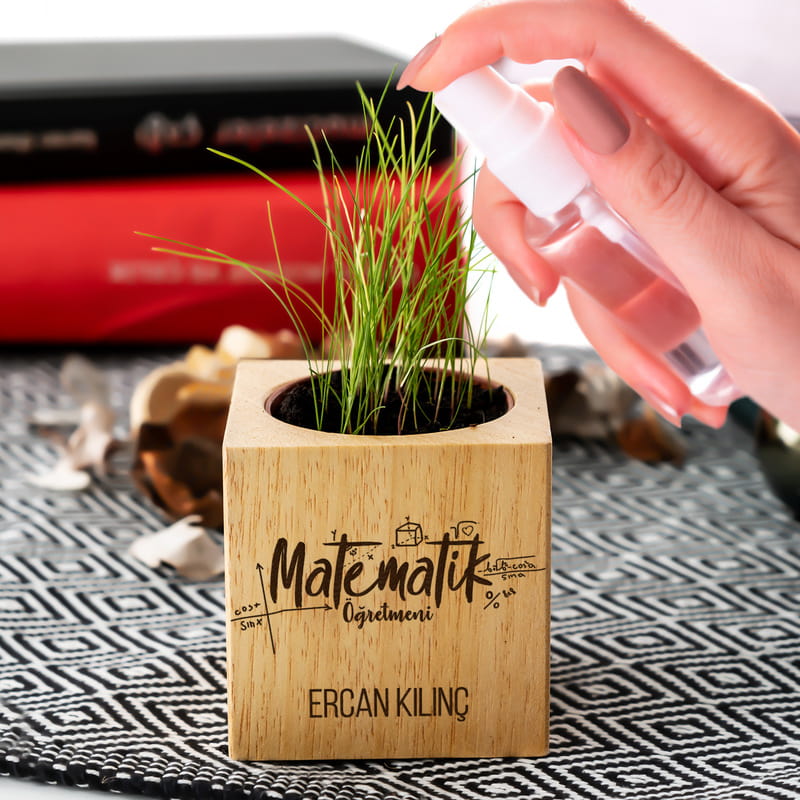 Matematik Öğretmenlerine Hediye Tohumlu Naturacube