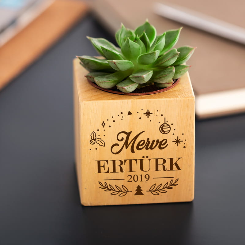 Yılbaşı Hediyesi İsme Özel Sukulent Naturacube