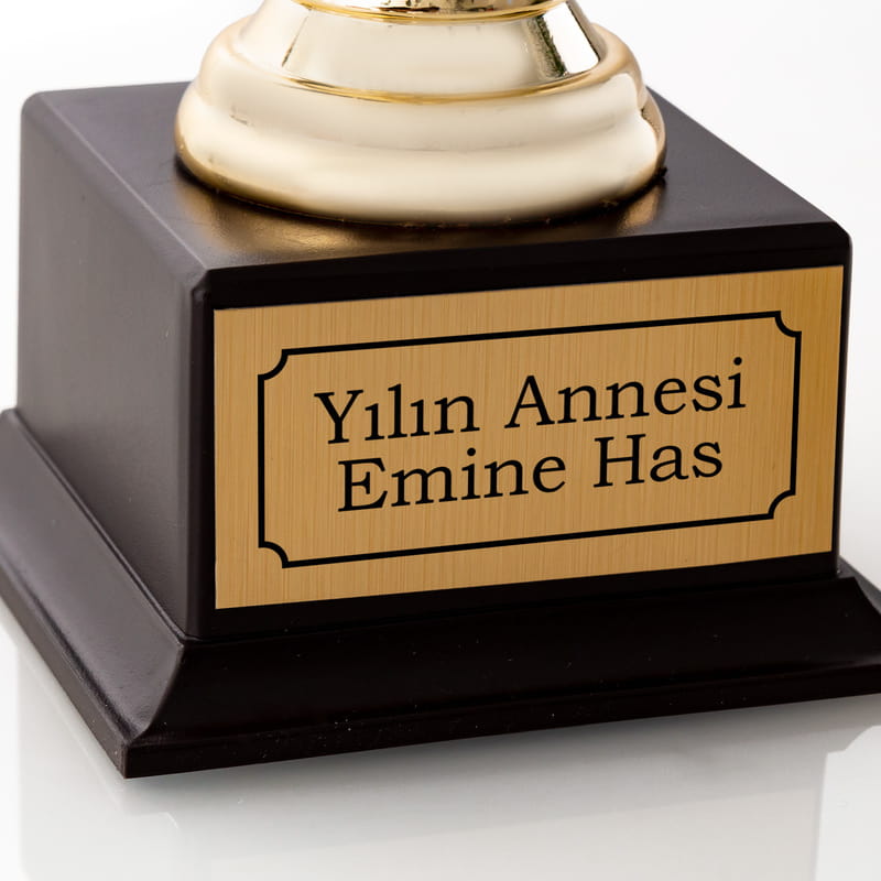 Yılın Annesi Oskar Ödülü