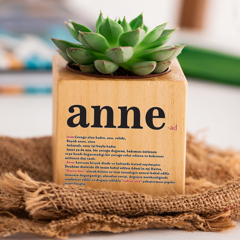 Anne Anlamı Anneler Günü Hediyesi Sukulent Naturacube