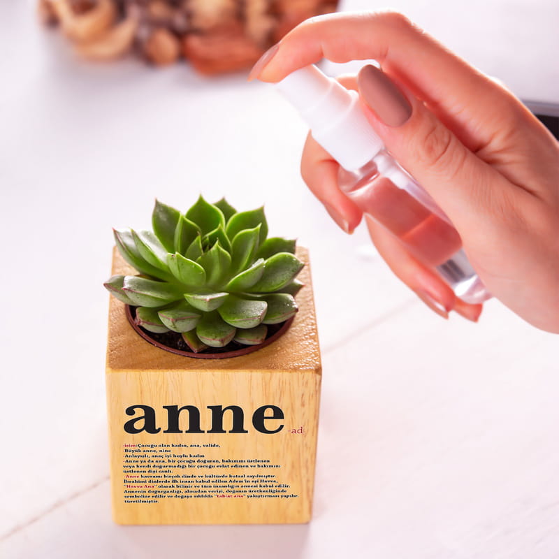 Anne Anlamı Anneler Günü Hediyesi Sukulent Naturacube