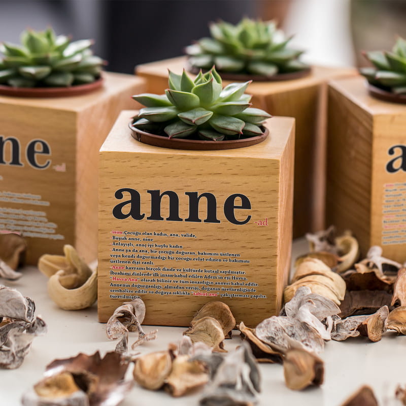Anne Anlamı Anneler Günü Hediyesi Sukulent Naturacube
