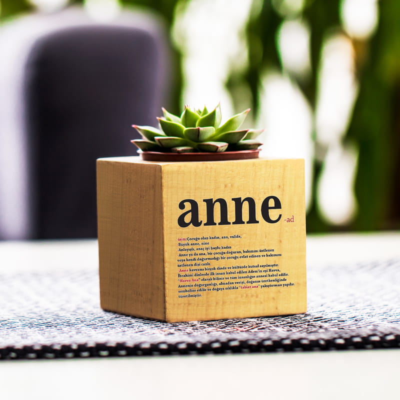 Anne Anlamı Anneler Günü Hediyesi Sukulent Naturacube