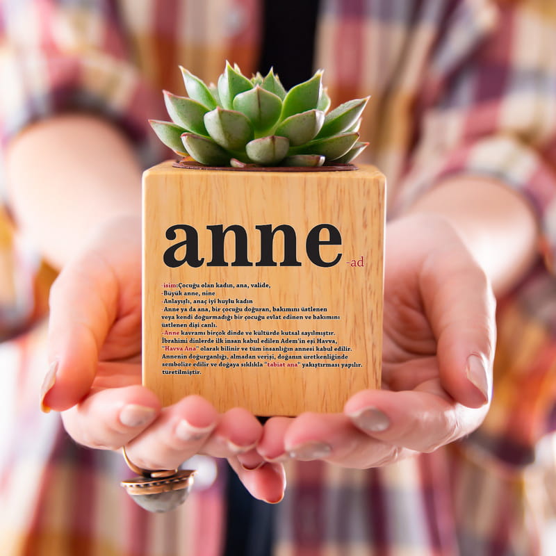 Anne Anlamı Anneler Günü Hediyesi Sukulent Naturacube