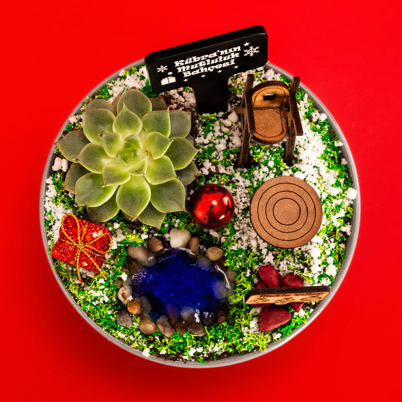 Minyatür Bahçe Yeni Yıl Hediyeleri