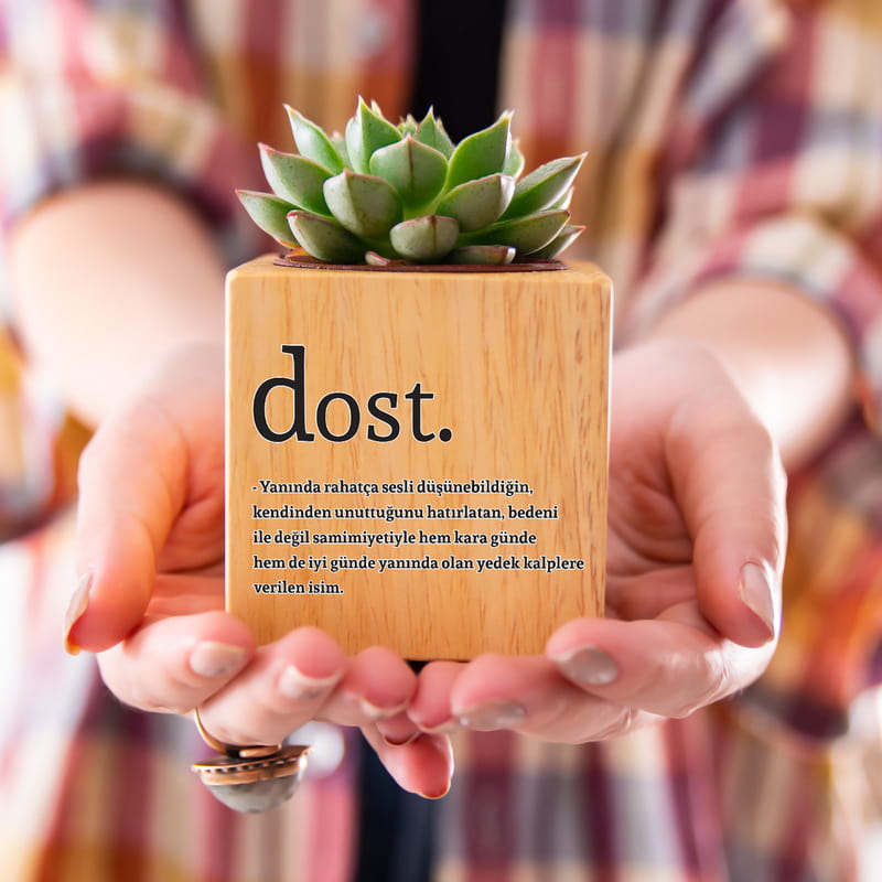 En Sıkı Dostunuza Özel Hediyesi Sukulent Naturacube