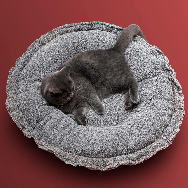 Evcil Hayvan Hediyesi Peluş Kedi Yatağı Hediye Sepeti