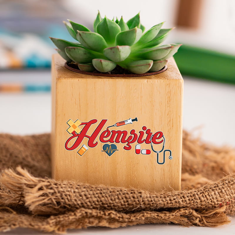 Hemşirelere Hediye Sukulent Naturacube