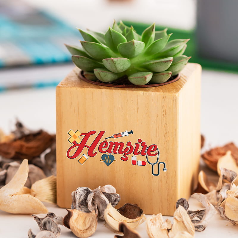 Hemşirelere Hediye Sukulent Naturacube