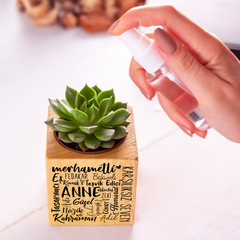 Canım Anneme Hediye Ahşap Saksılı Sukulent Naturacube