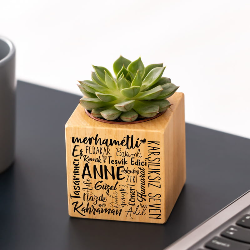 Canım Anneme Hediye Ahşap Saksılı Sukulent Naturacube
