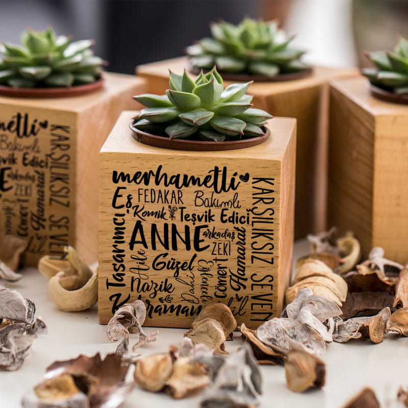 Canım Anneme Hediye Ahşap Saksılı Sukulent Naturacube
