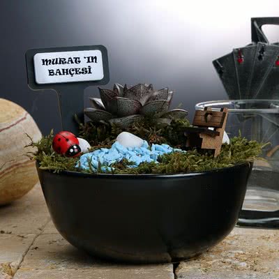 Sevgiliye Özel Hediye Sukulent Bahçe
