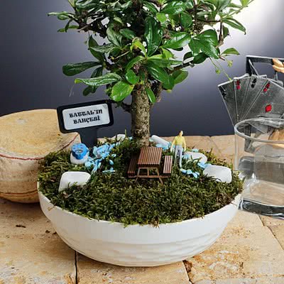 Kişiye Özel Minyatür Bonsai Bahçesi