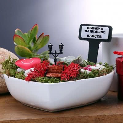 Sevgiliye Hediye Kalpli Mini Bahçe