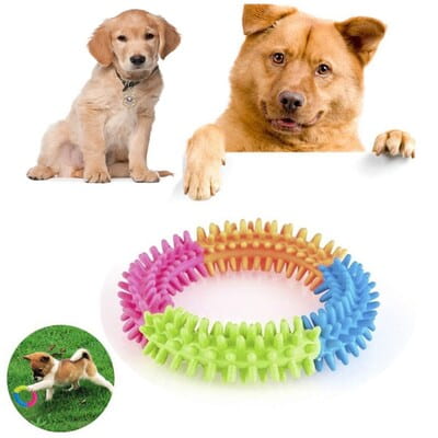 Köpek Diş Temizleyici ve Kaşıyıcı Sağlıklı Eğlenceli Oyuncak